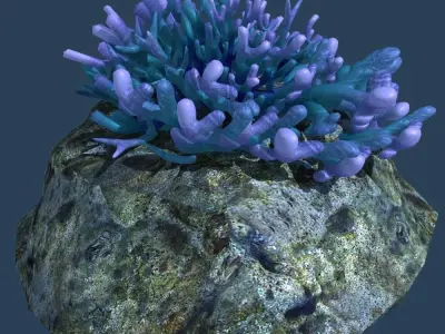 Coral on rock 3D model