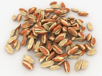 Peanut with Peel Pile 3D model