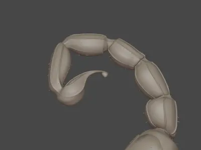 Scorpion Tail Low-poly 3D model