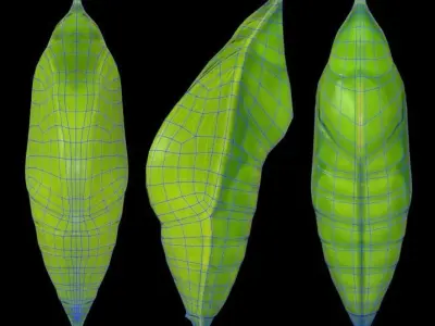 Chrysalis 1 butterfly on leaf Low-poly 3D model