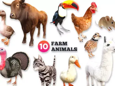 Farm Animals 3D Model Bundle - Part 2 Low-poly 3D model
