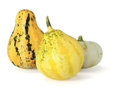 Decorative pumpkins Free 3D model