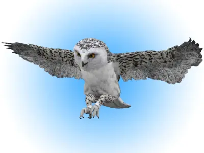 Snowy White Owl Animated Low-poly 3D model