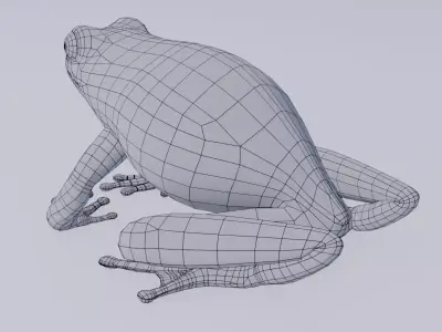 Barking Treefrog Rigged Free low-poly 3D model