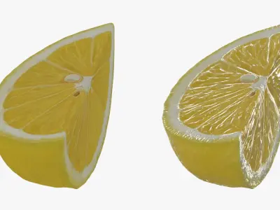 Fresh Lemon Slice 3D model