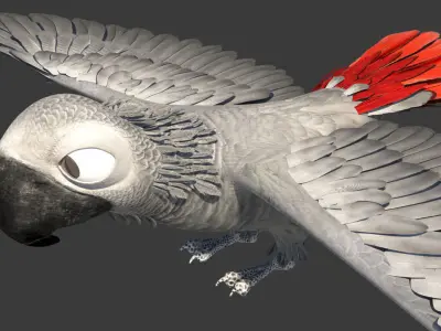 Gray parrot Low-poly 3D model