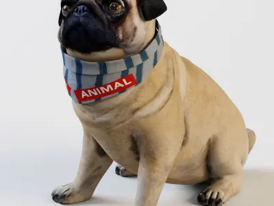 PUG - Dog 3D model