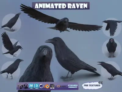 Realistic Animated Raven Low-poly 3D model