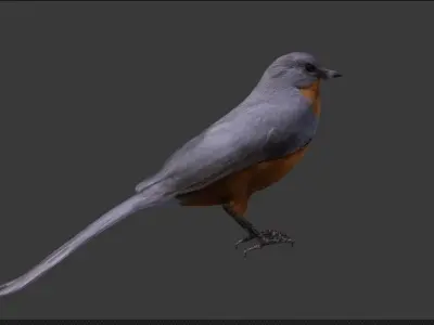 brid for VR 3D model
