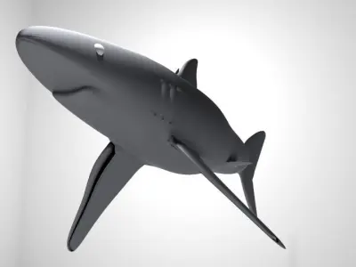 Shark - Blueshark 3D model