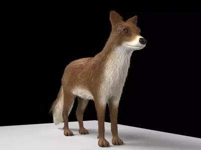 Fox animal Low-poly 3D model