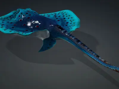 Ray Fish-A1 3D model
