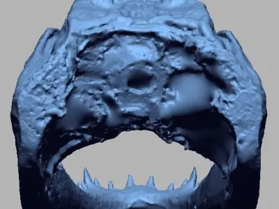 Alligator Head 3D print model