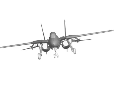 F-14 Tomcat 3D model