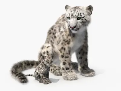 Snow Leopard Mother and Calf Fur 3D model purchase