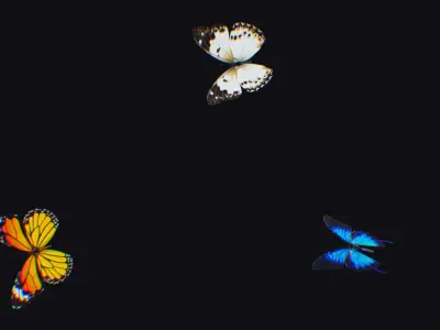 Butterfly Insect Flock Animated Fly Animal Wing Butterflies Low-poly 3D model