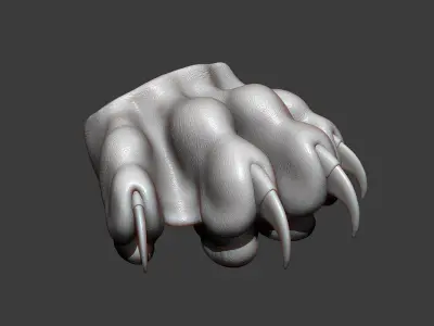 Cat Paw Highpoly Sculpt 3D model