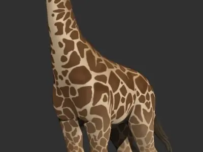 Giraffe 3D Model 3D model