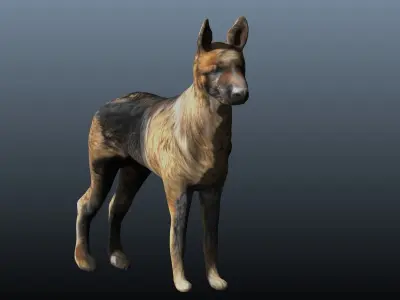 german shepard 3D model