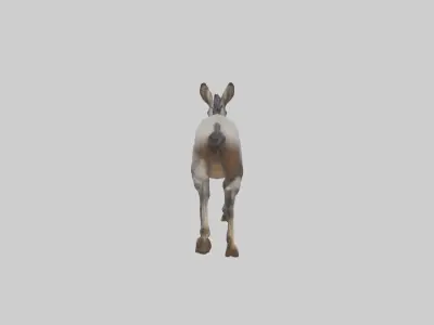 Indian Wild Ass running model Low-poly 3D model