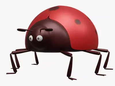 LadyBug Rigged Model 3D model