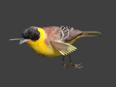 bunting animated Low-poly 3D model