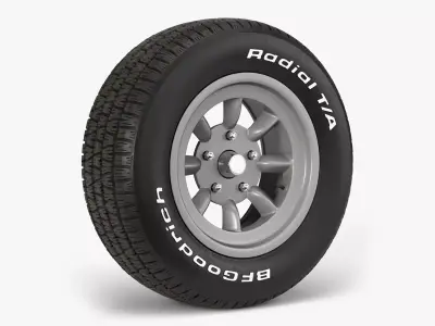 BFGoodrich Mini Lite Combo 3D model