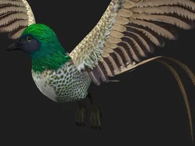PheasantBird B4 3D model