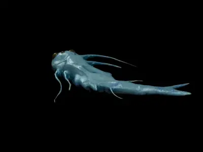 Quilles Microbe Organism Low-poly 3D model