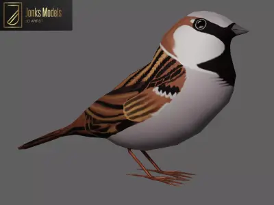 Sparrow Low-poly 3D model