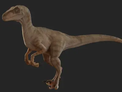 Jurassic Park Park Velociraptor Blender Low-poly 3D model