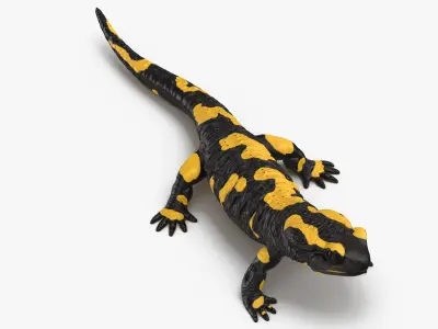 Salamander Standing 3D model