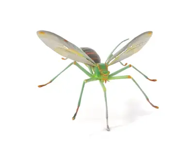 Green Insect Drone model pack Low-poly 3D model