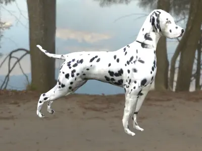 GAME-READY DOG dalmatian Low-poly 3D model