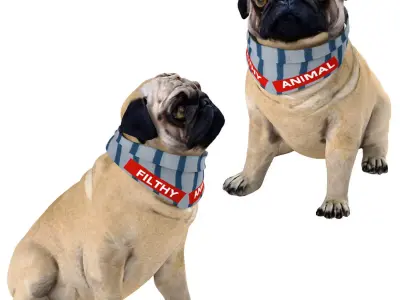 PUG - Dog 3D model