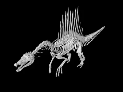 Spinosaurus skeleton Low-poly 3D model