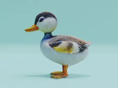 Baby Duck Cute Low-poly 3D model