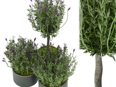 Collection plant vol 60 Free 3D model