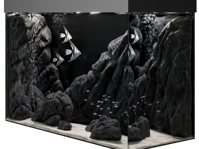 Aquarium box 3D model