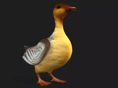 Duck A8 Free low-poly 3D model