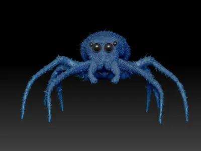 European Zebra jumping spider-Highpolygon 3D model fullsize  3D model