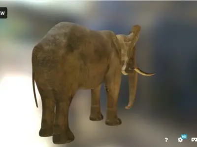 Elephant in environment Free low-poly 3D model