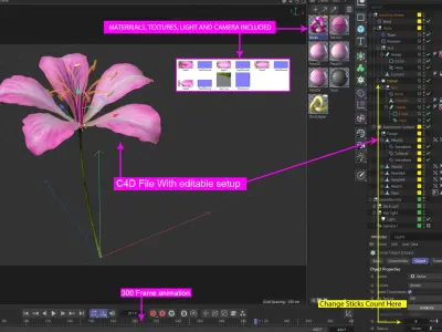 Animated Bauhinia Flower 3D model