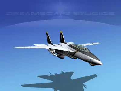 Grumman F-14D Tomcat T08a VF-84 3D model