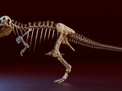 Realistic Ancient Reptilians Fossil - Tyranosaurus Low-poly 3D model