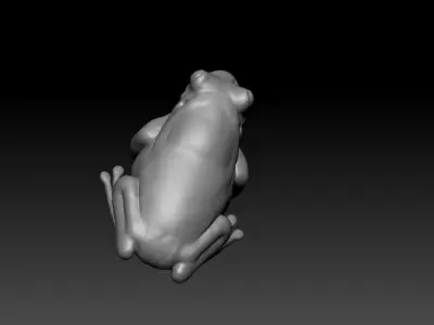 Marvelous Frog sculpt 3D model