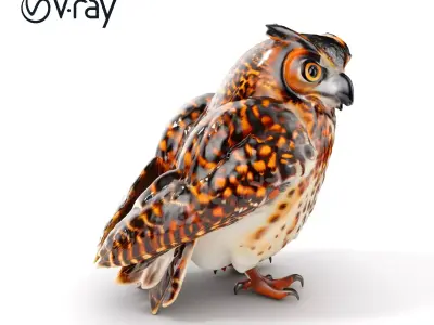 Detailed Owl Model Pack for Rendering and Games Low-poly 3D model