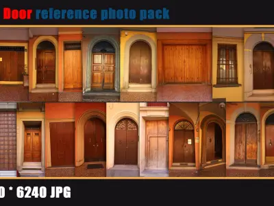 220 door reference photo pack 3D model