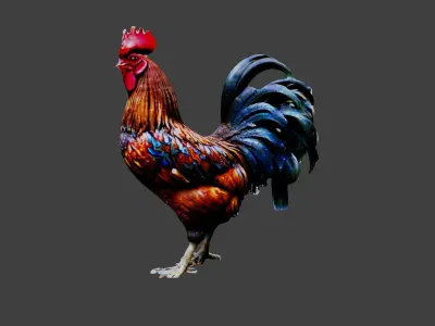 Rooster Animal Low-poly 3D model