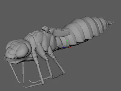 Molt Anax Imperator 3D model